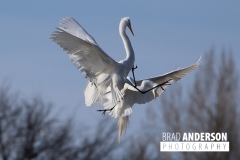 img_1688-1